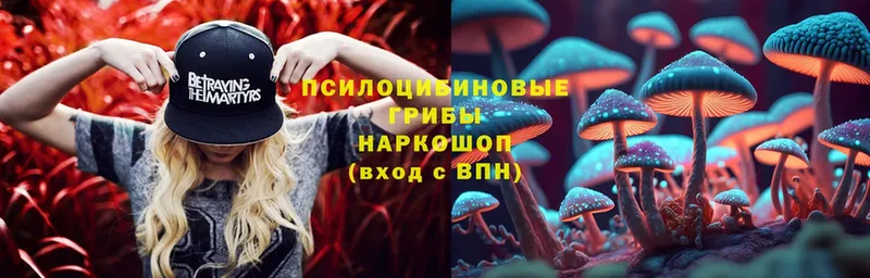 Галлюциногенные грибы Psilocybe Дегтярск